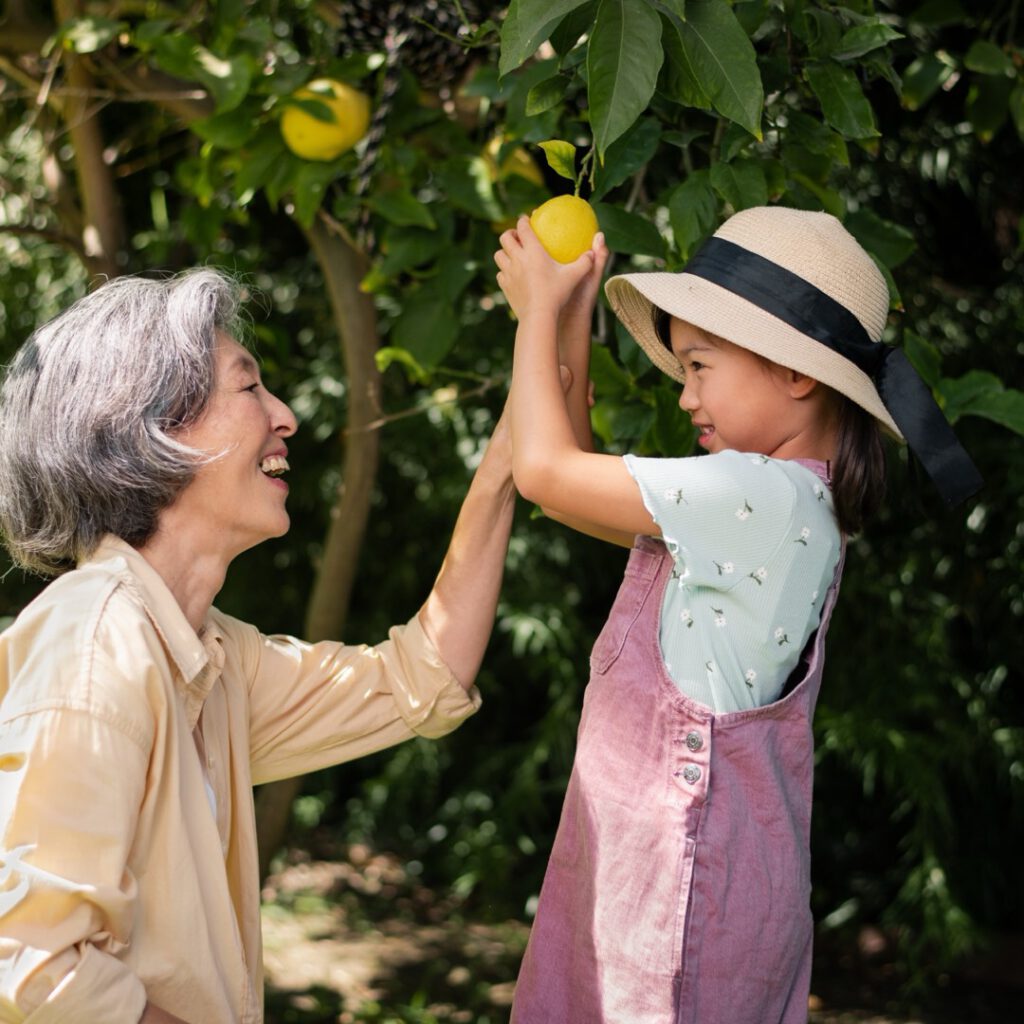A grandmother and grandchild picking fruit together in a garden
